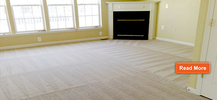 CARPET