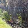 iron fence ornamental 02 lg